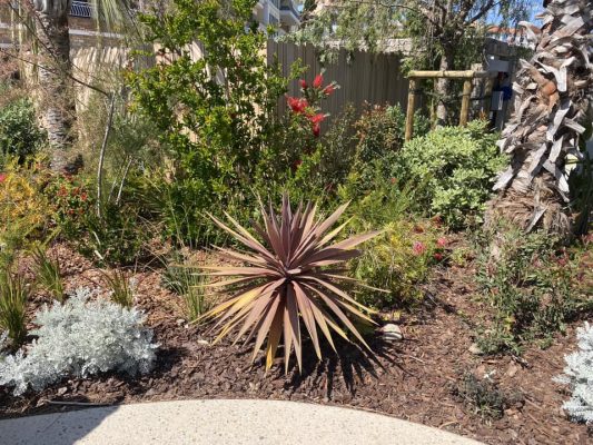 468334106_122147393210330614_6560372674231778165_n