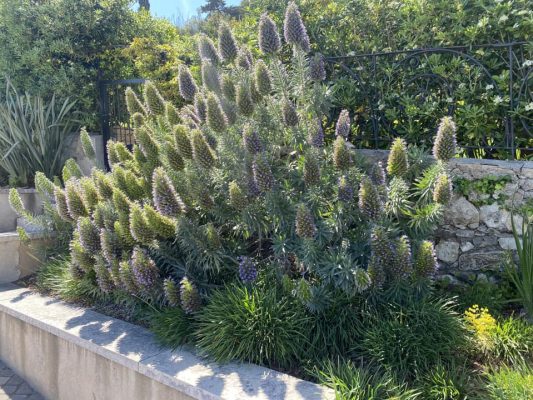 468399720_122147393324330614_8392876938917262998_n