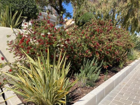 468428291_122147393414330614_4808928536306703288_n