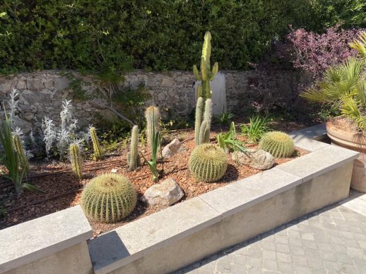 468570416_122147393282330614_4034547146304556764_n